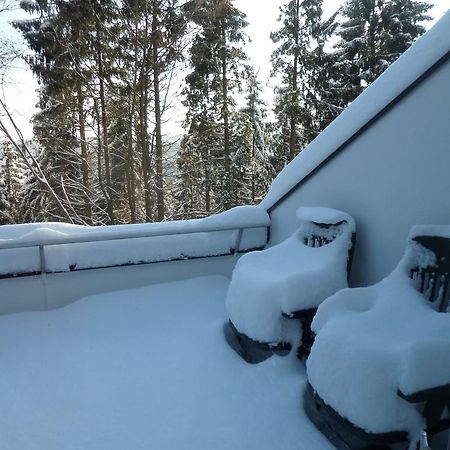 Terrassenhaus Winterberg Apartment Exterior foto