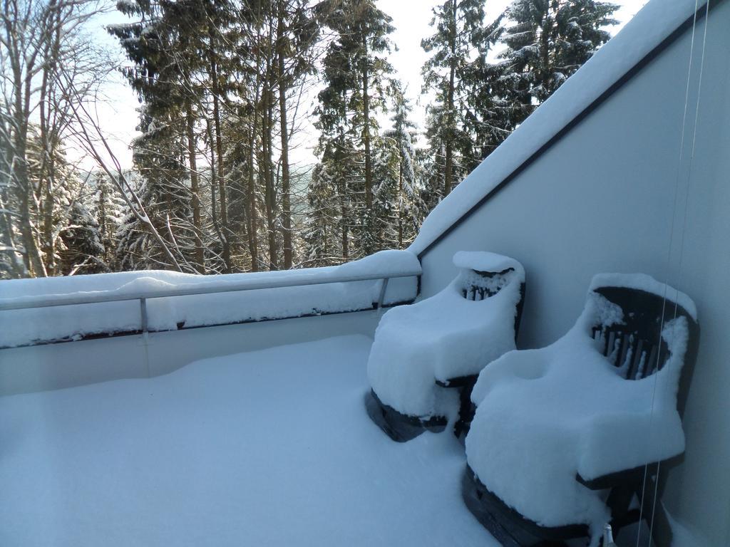 Terrassenhaus Winterberg Apartment Exterior foto